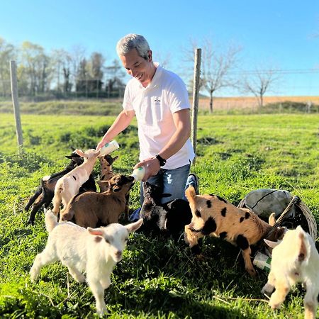 Ferme Des Petites Oreilles 4 Etoiles Montignac-Lascaux Eksteriør bilde