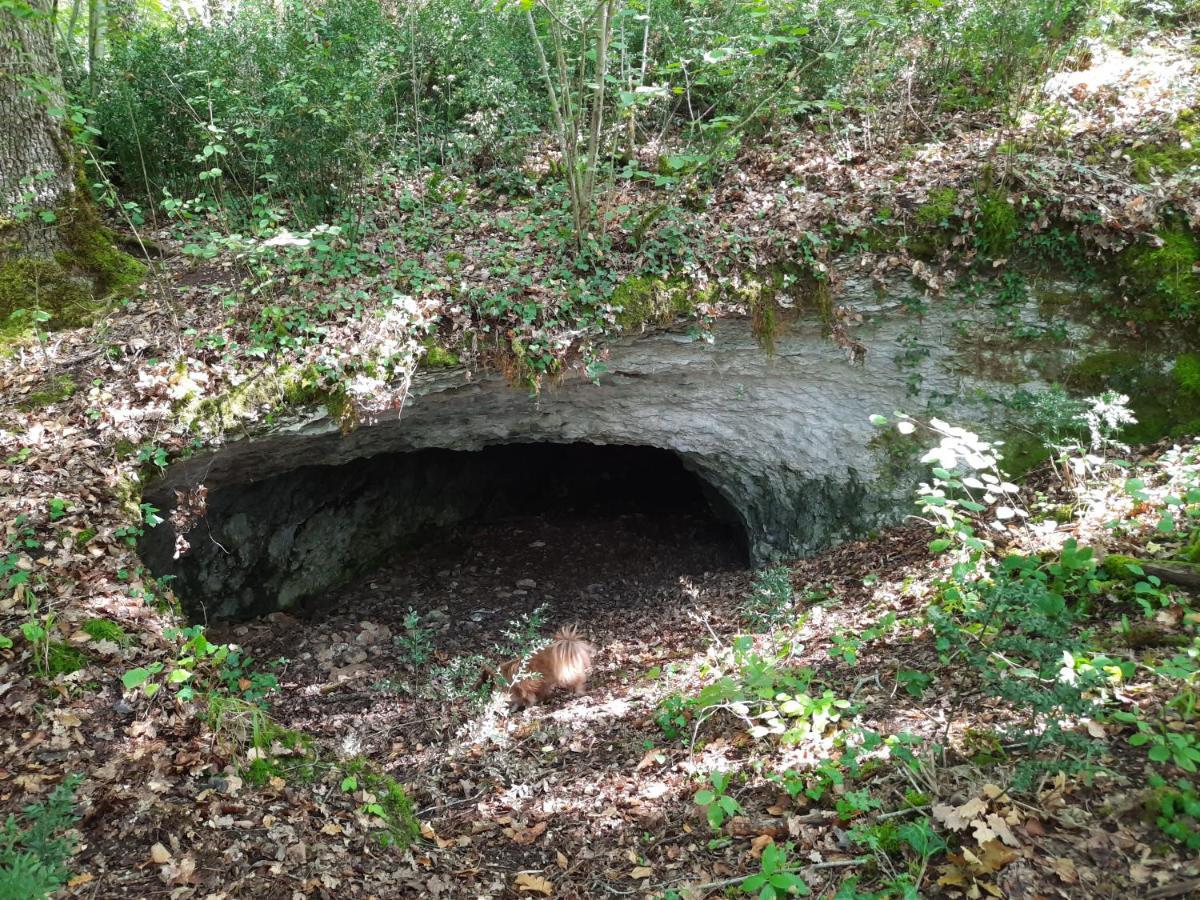 Ferme Des Petites Oreilles 4 Etoiles Montignac-Lascaux Eksteriør bilde