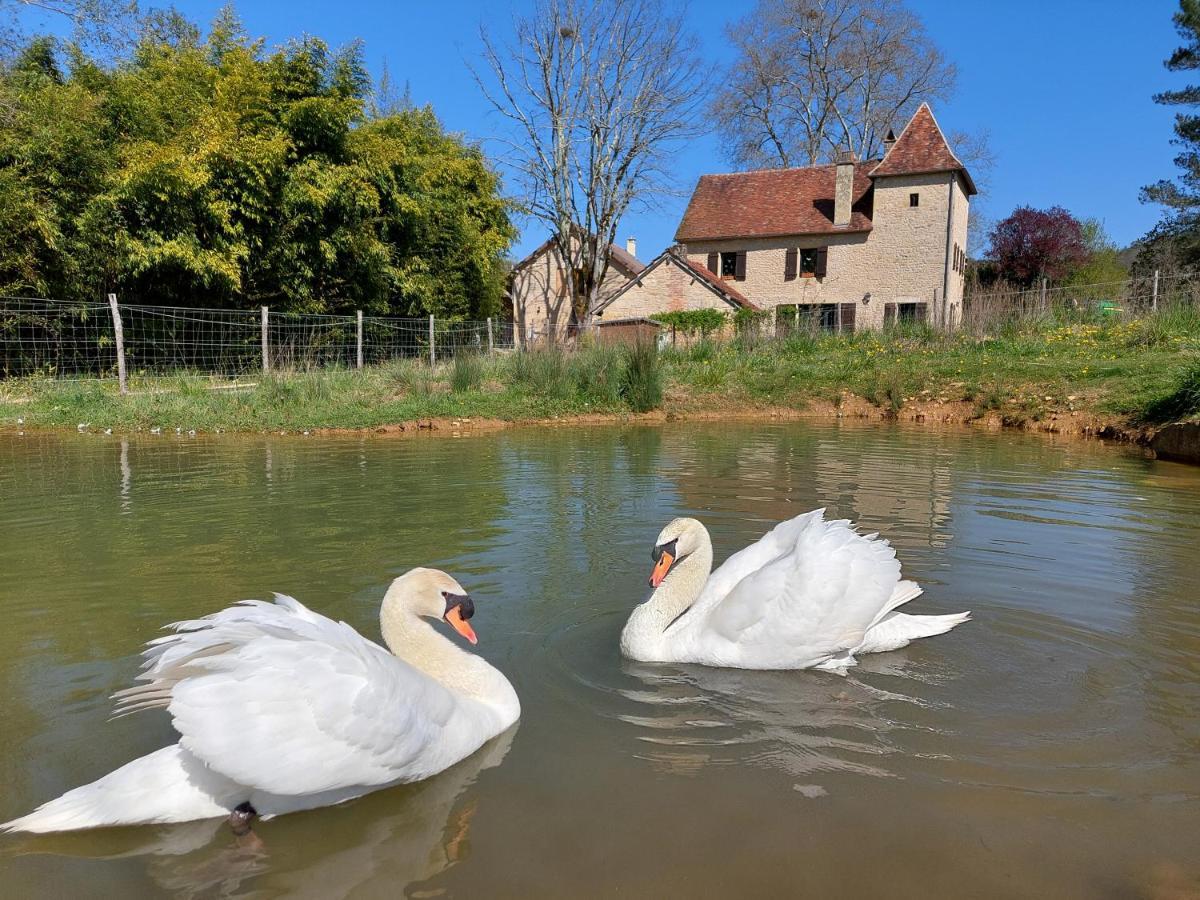 Ferme Des Petites Oreilles 4 Etoiles Montignac-Lascaux Eksteriør bilde